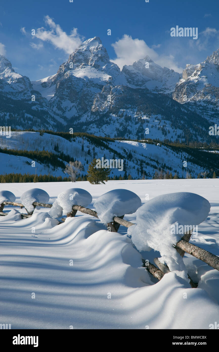 Grand Teton Nationalpark, WY schneebedeckte Zaunlinie mit den Gipfeln der Teton Range in Winter-Licht Stockfoto