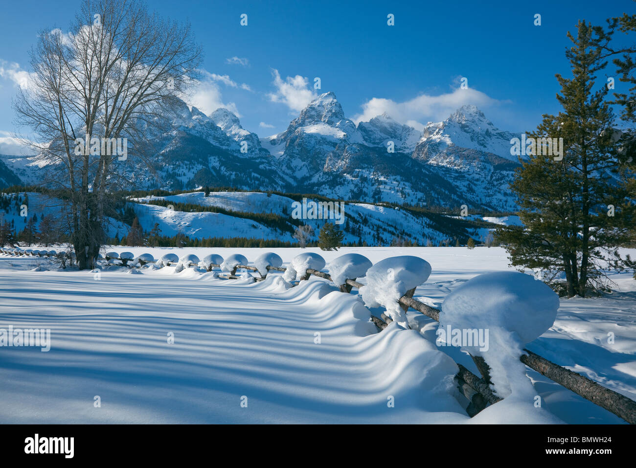 Grand Teton Nationalpark, WY schneebedeckte Zaunlinie mit den Gipfeln der Teton Range in Winter-Licht Stockfoto