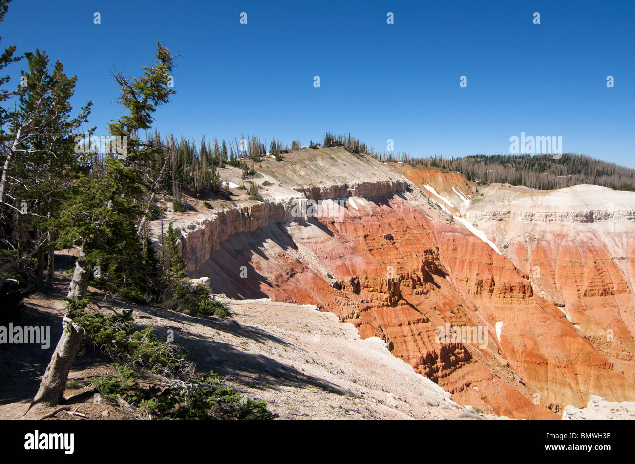 Klippen an der Cedar Breaks National Monument in Utah Stockfoto