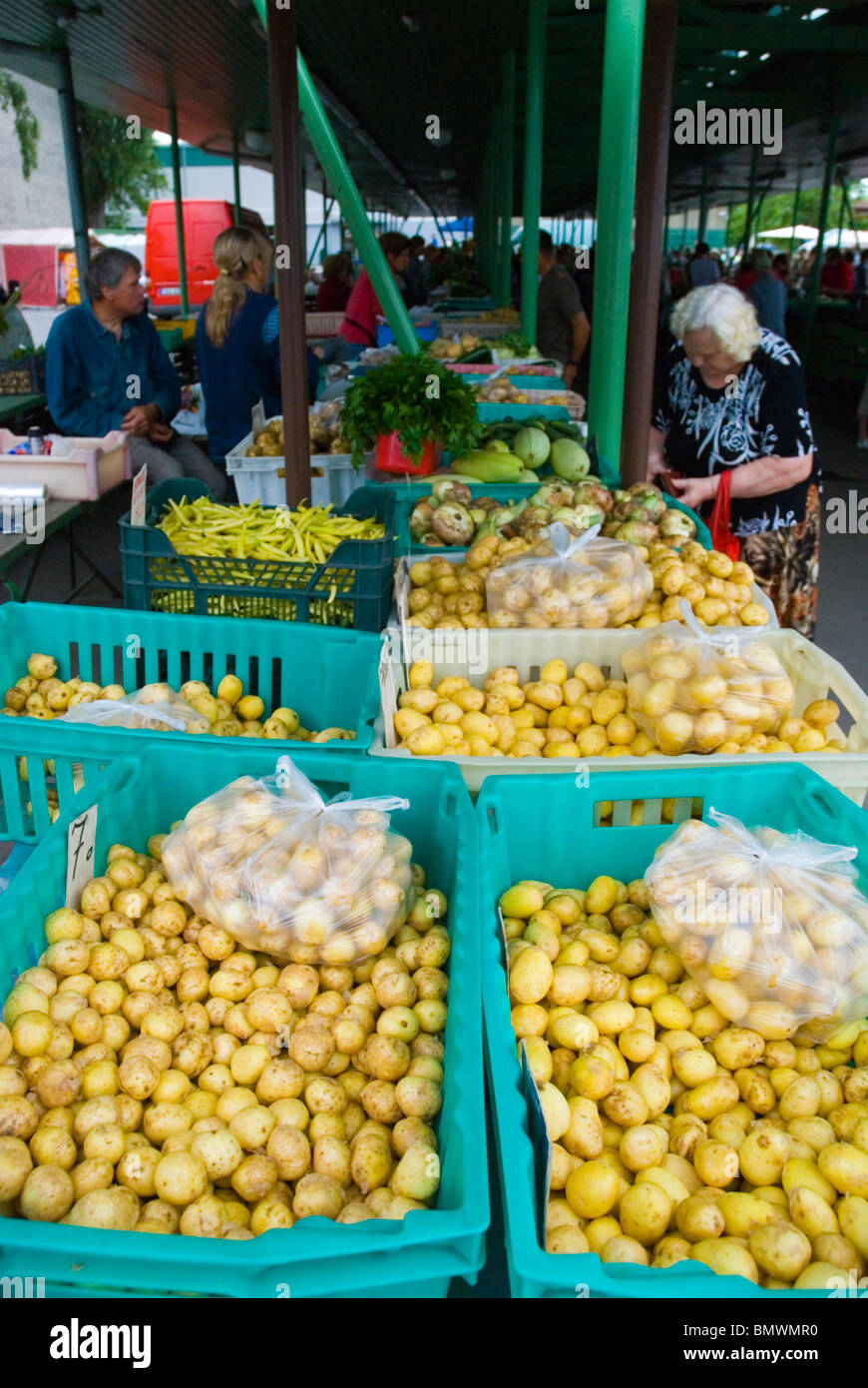 Babykartoffeln Turg den Markt in Pärnu-Estland-Europa Stockfoto