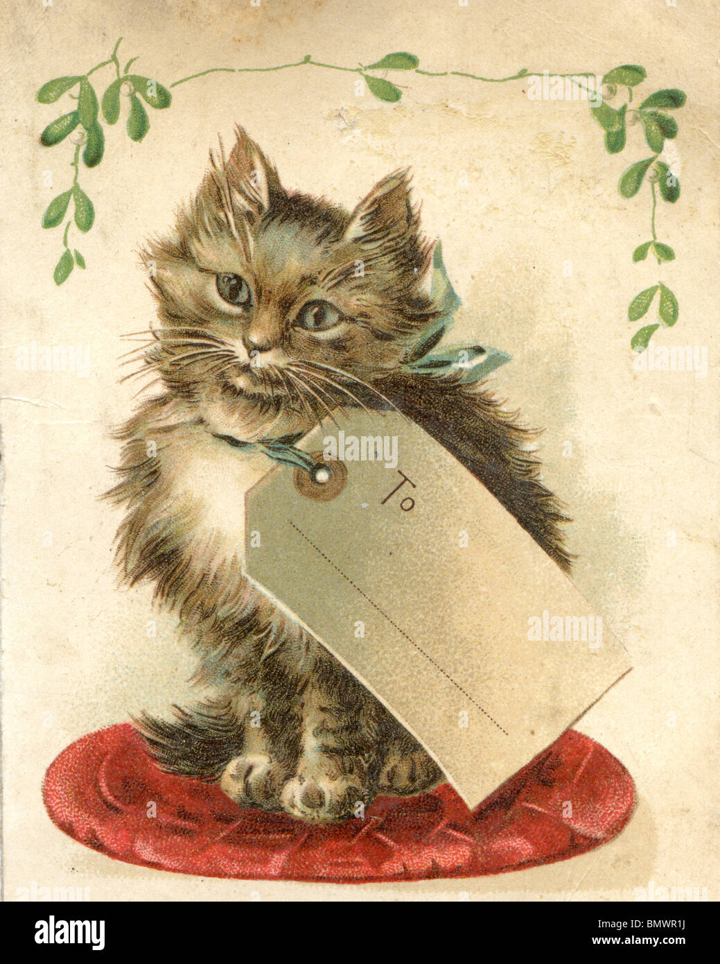 Grußkarte - Katze Stockfoto