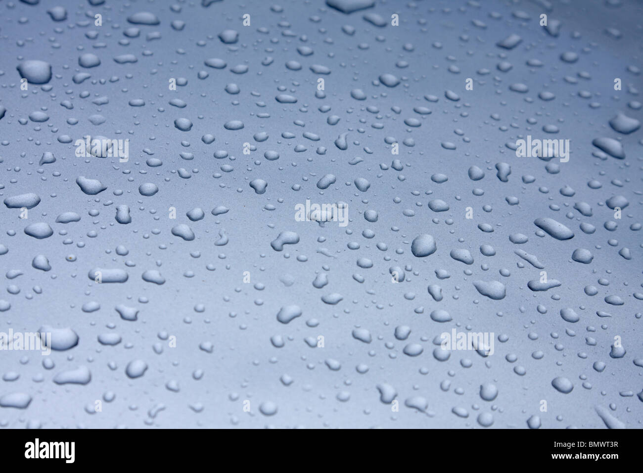 Wassertropfen auf Autooberfläche nach Regen Stockfoto