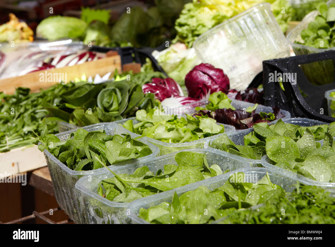 Salatblätter auf dem Markt in der Piazza Delle Erbe, Verona, Italien Stockfoto