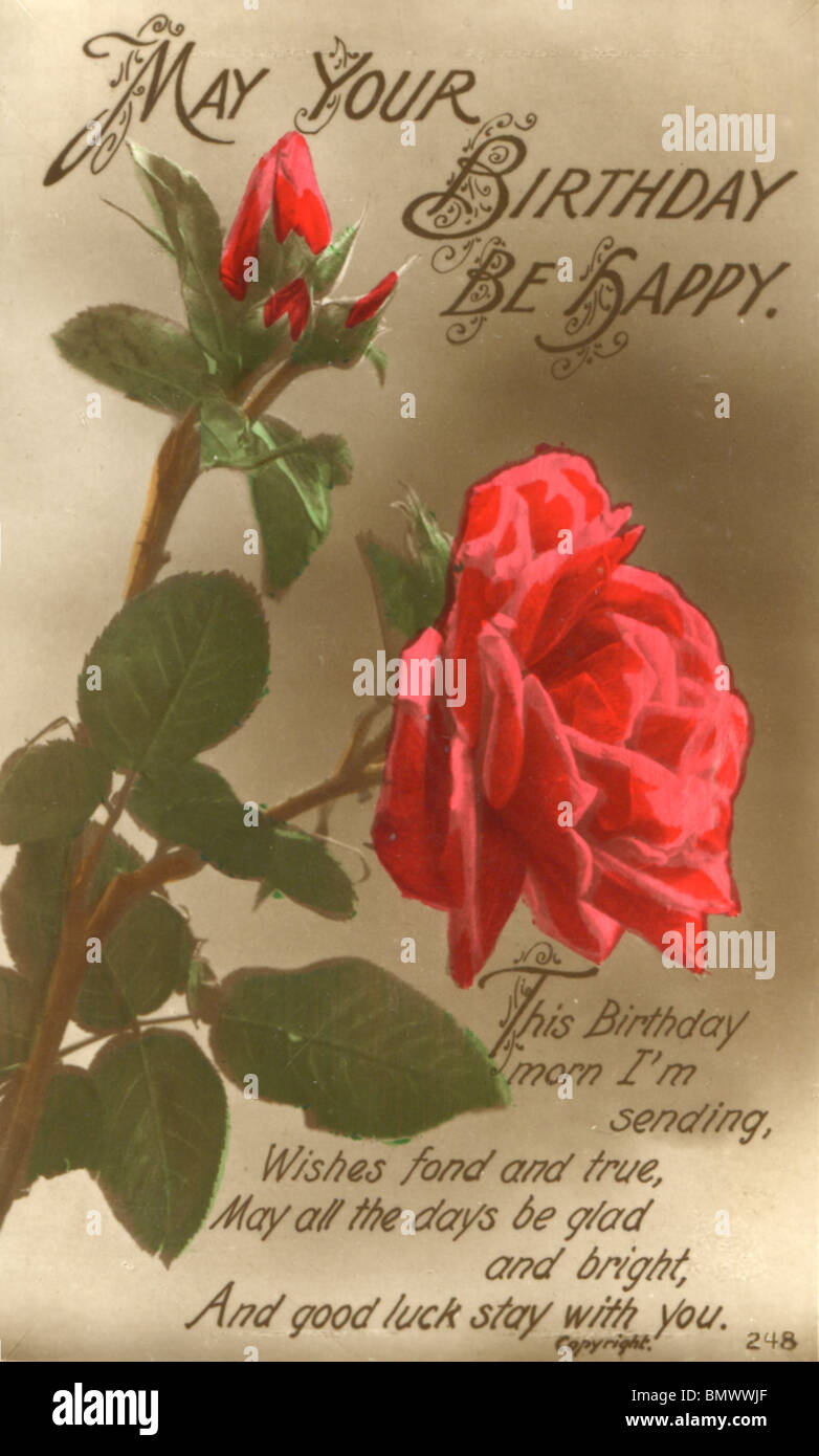 Geburtstagskarte - rote Rosen Stockfoto