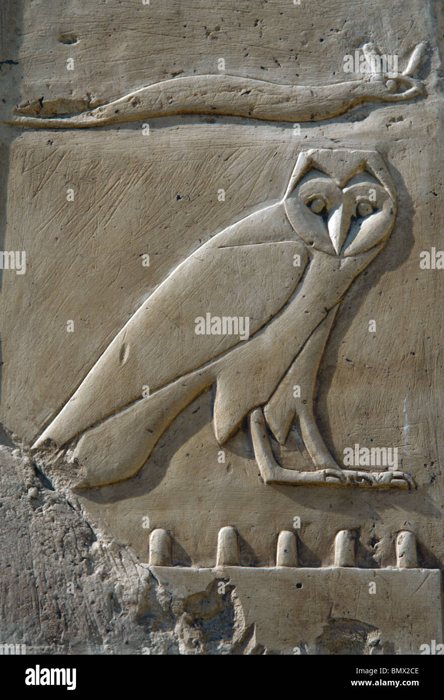 Hieroglyphen. Relief Darstellung Konsonanten. "F" (Hornotter) und bin "(Eule). Tempel der Hatschepsut. Ägypten. Stockfoto