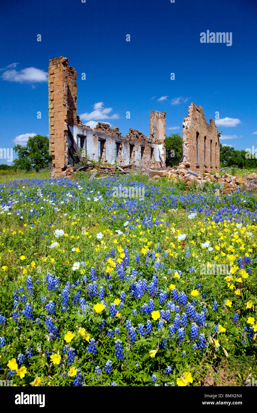 Verlassene Gebäude Ruinen einer ehemaligen Schule mit einer Vielzahl von Wildblumen in das Hügelland in Pontotoc, Texas, USA. Stockfoto