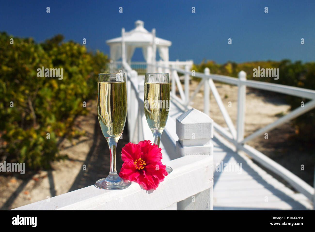 Champagnergläser bereit für eine Hochzeitsfeier Karibik Reiseziel Stockfoto