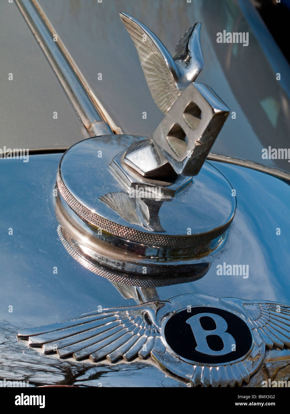 Ansicht des Jahrgangs Nahaufnahme Bentley flying B mit Chrome Flügel Design auf Motorhaube Stockfoto