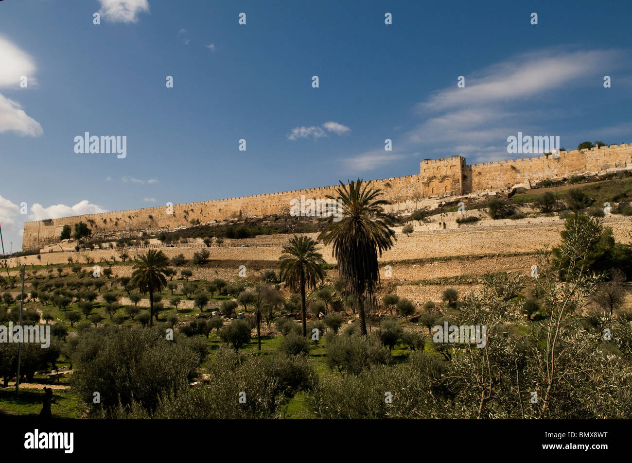 Blick über das Kidron-Tal oder das Wadi an-Nartthe der osmanischen Mauern, die den östlichen Rand der Altstadt von Ost-Jerusalem Israel umgeben Stockfoto