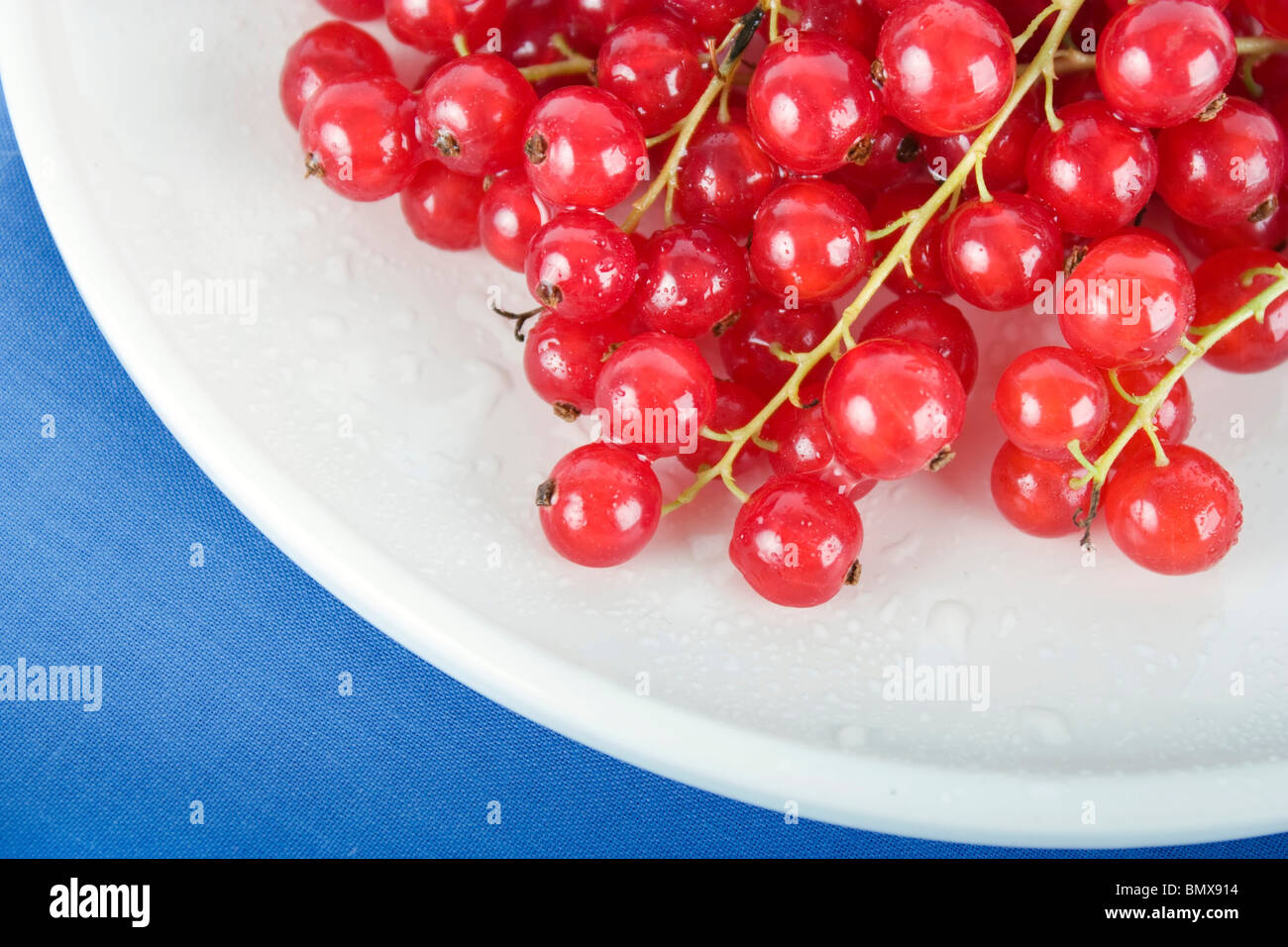 Nahaufnahme von roten Johannisbeeren auf weißen Teller mit blauen Tischdecken. Stockfoto