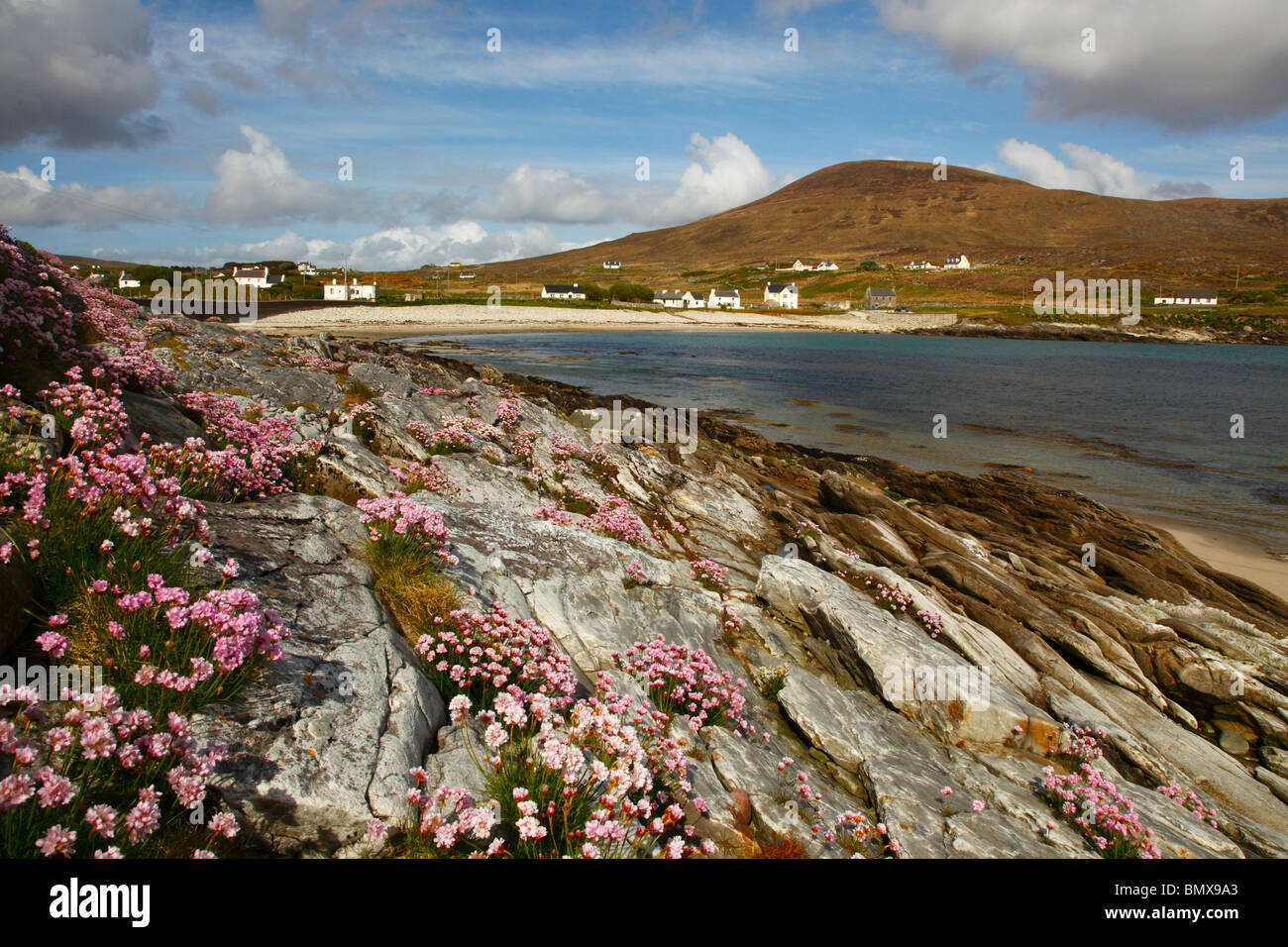 Dooega Bucht und den Strand mit Knockmore Berg und Vordergrund Sparsamkeit Blumen, Achill Island, westlichen Irland, Eire. Stockfoto