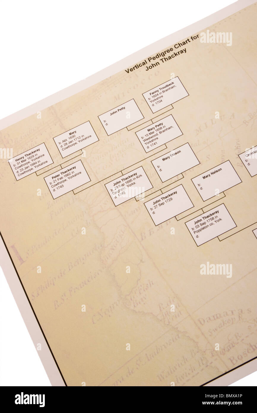 Ausdruck eines Stammbaums von Genealogie-software Stockfoto