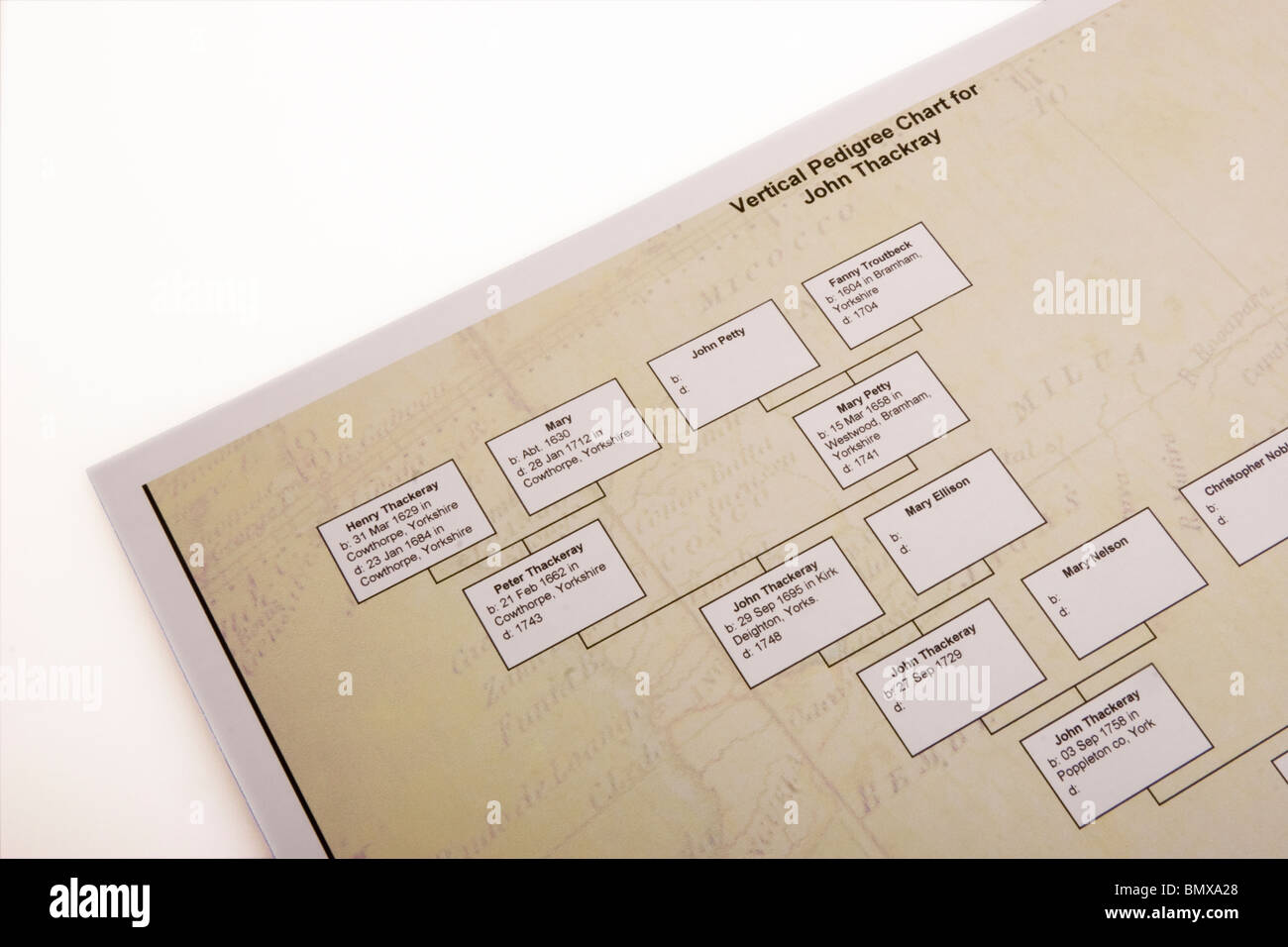 Ausdruck eines Stammbaums von Genealogie-software Stockfoto