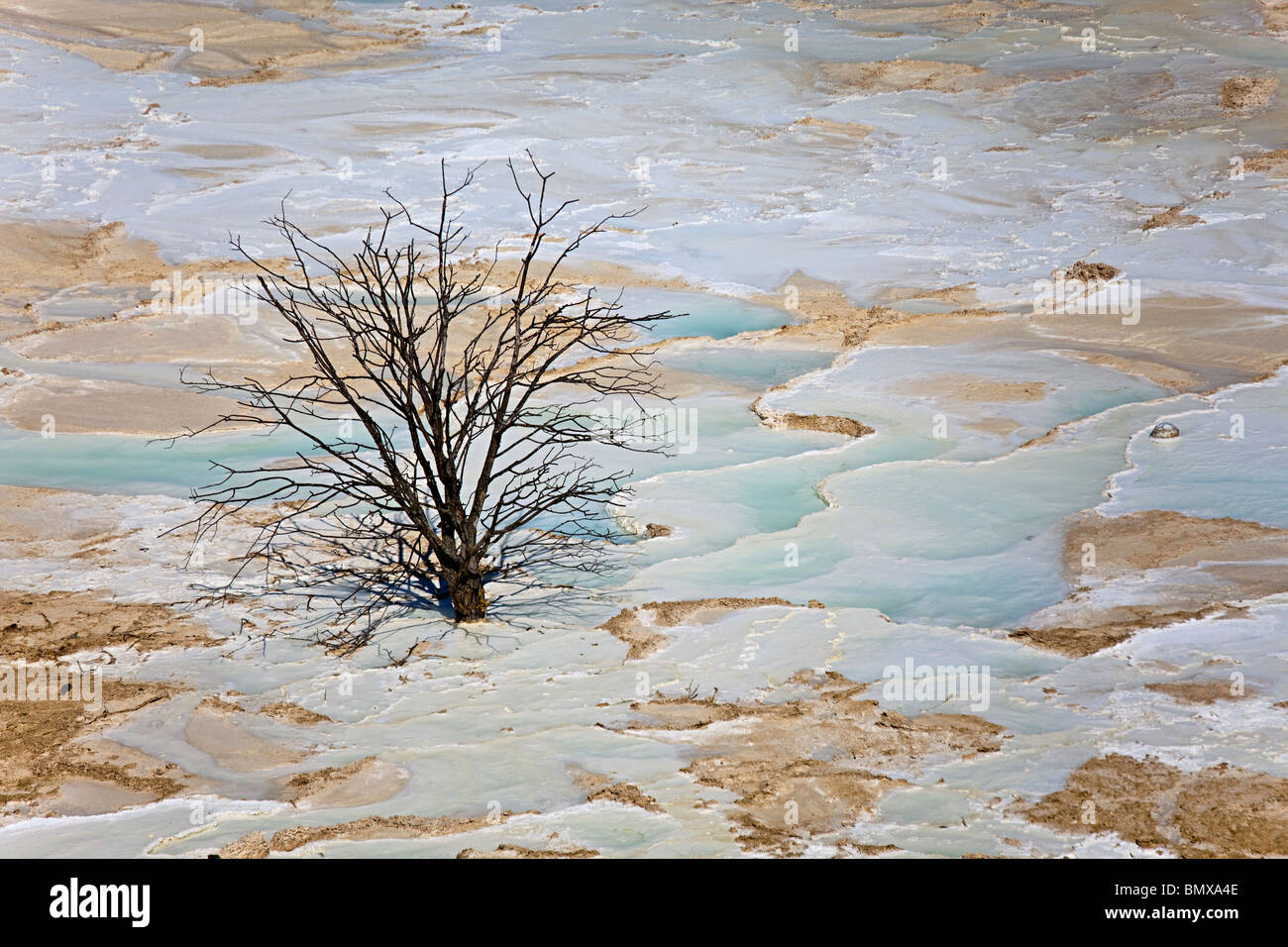Tuffstein-Ablagerungen im Brook unten Springs Buxton Peak District Derbyshire UK Stockfoto