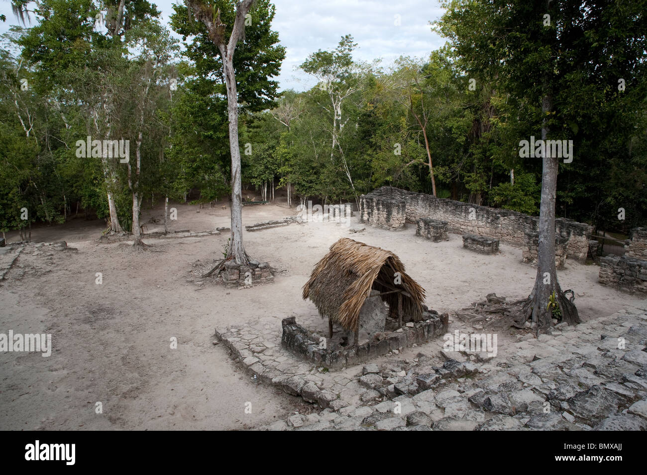 Eine kleine Open Air Maya Tempel Ruinen schießen von oben auf die archäologische Stätte Coba Quintana Roo Mexiko Stockfoto