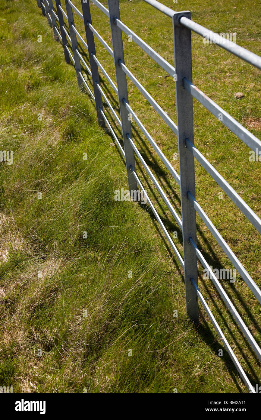 Zaun errichtet in 2008 zeigt Wachstum des Grases auf innen- und Schafe weideten außerhalb Wales UK Stockfoto