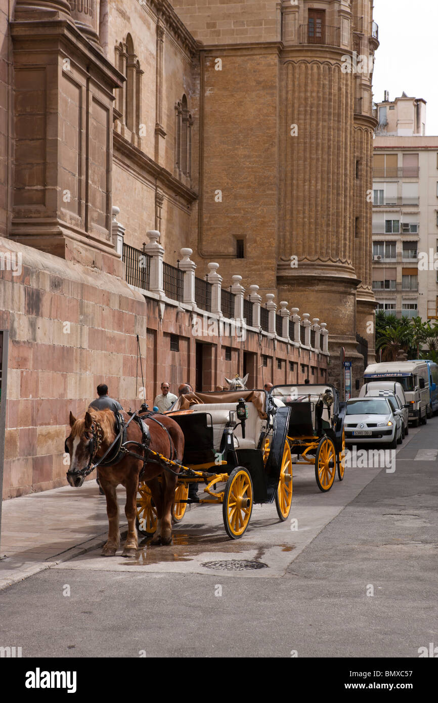 Pferdekutsche. Malaga. Andalusien. Spanien. Europa Stockfoto