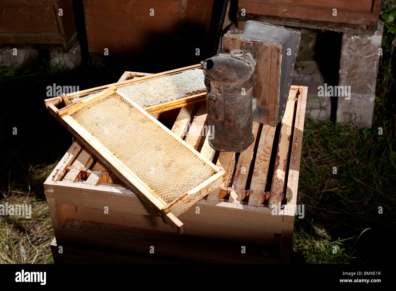 Bienen halten Ausrüstung Stockfoto