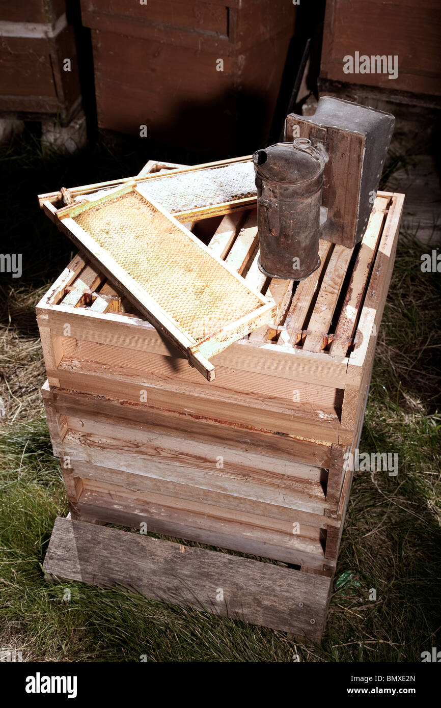 Bienen halten Ausrüstung Stockfoto