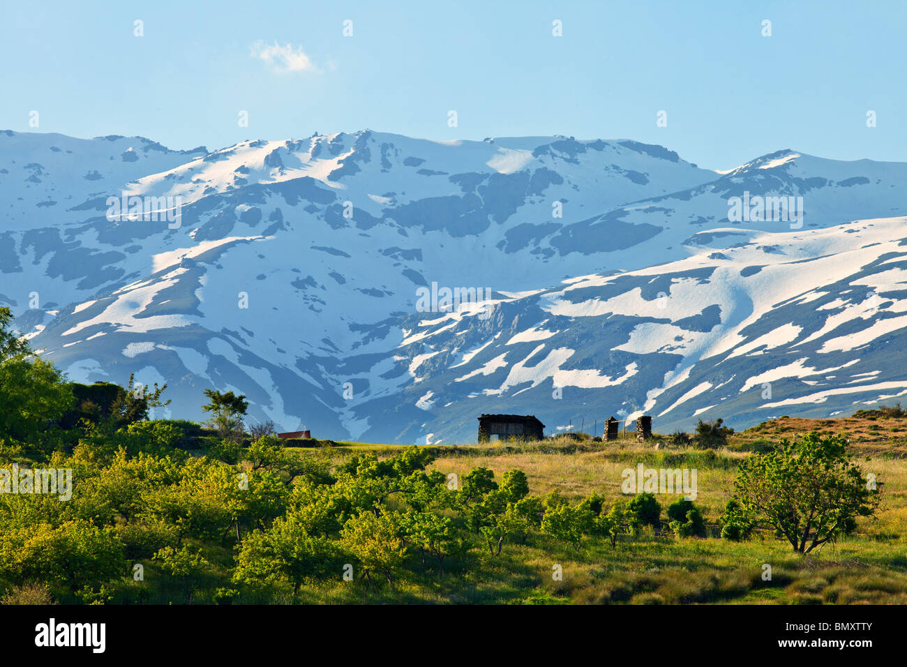 Schnee im Sommer, die Berge der Sierra Nevada Las Alpujarras, Andalusien, Spanien Stockfoto