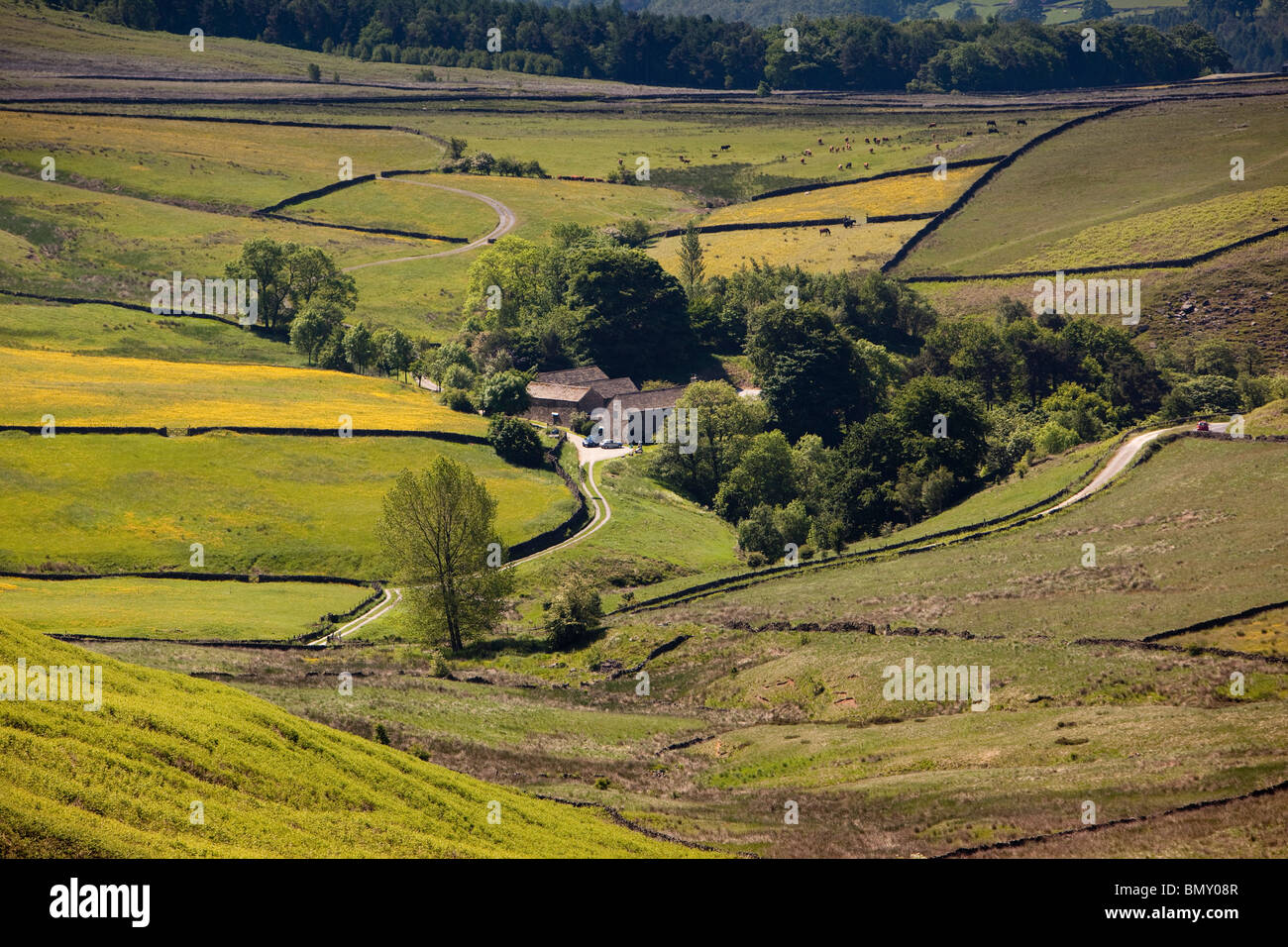 UK, Derbyshire, Peak District, Hathersage, Callow Bank, Bauernhof, umgeben von Bäumen bergende Stockfoto