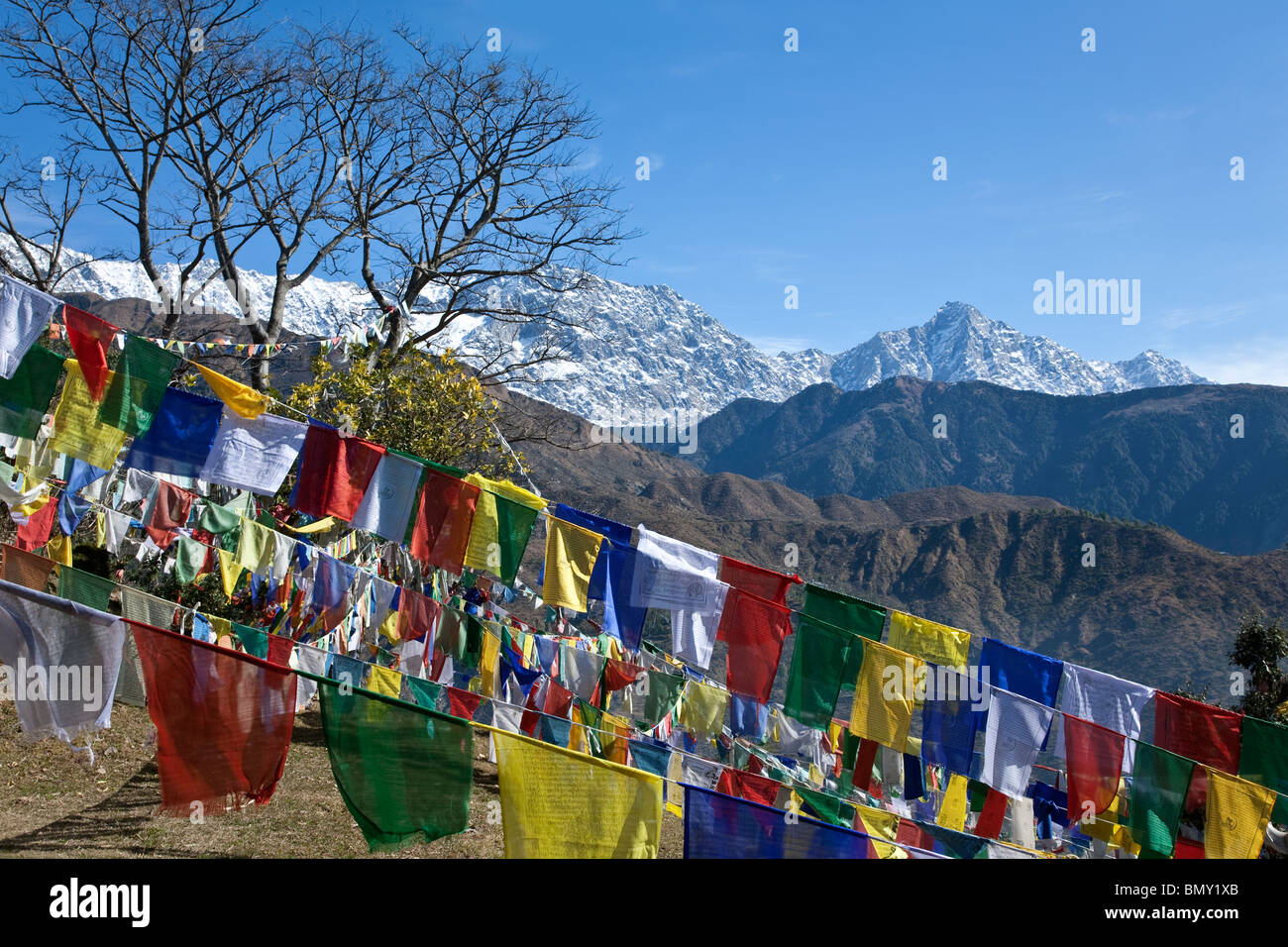 Tibetische Gebetsfahnen. McLeod Ganj (Tibet Regierung im Exil). Dharamsala. Indien Stockfoto