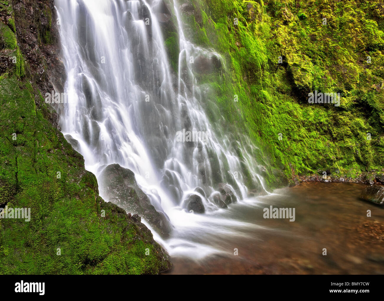 Cabin Creek Falls mit Moos bedeckt Felsen. Columbia River Gorge National Scenic Bereich, Oregon Stockfoto