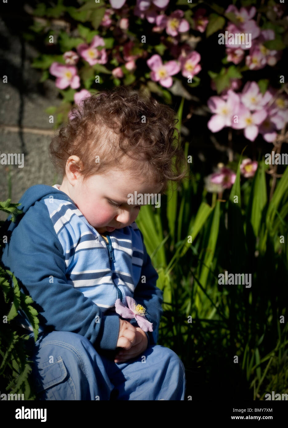 Männliche Kleinkind unter 18 Monate alt sitzen, Blick auf eine rosa Blume. Stockfoto