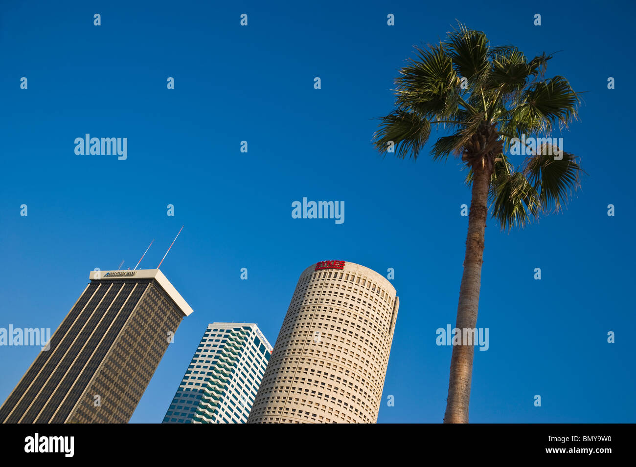 Wolkenkratzer in der Innenstadt von Tampa aus Curtis Hixon Waterfront Park gesehen Stockfoto