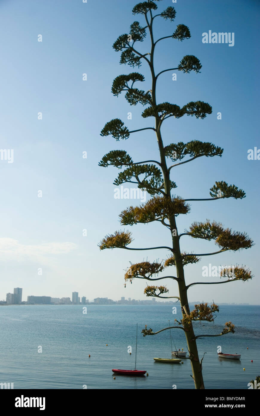 La Manga del Mar Menor Strand CARTAGENA Murcia Region Spanien Stockfoto