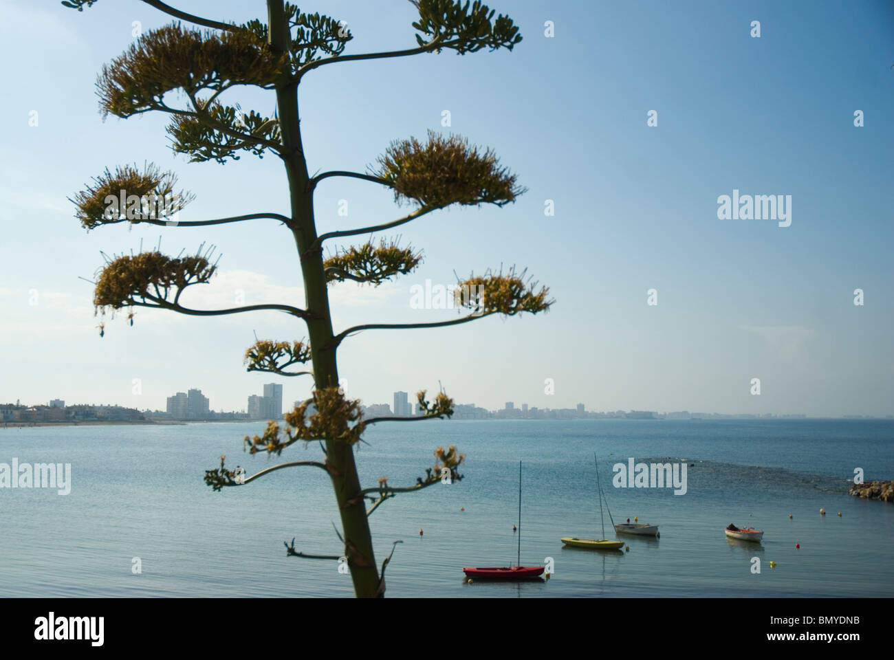La Manga del Mar Menor Strand CARTAGENA Murcia Region Spanien Stockfoto