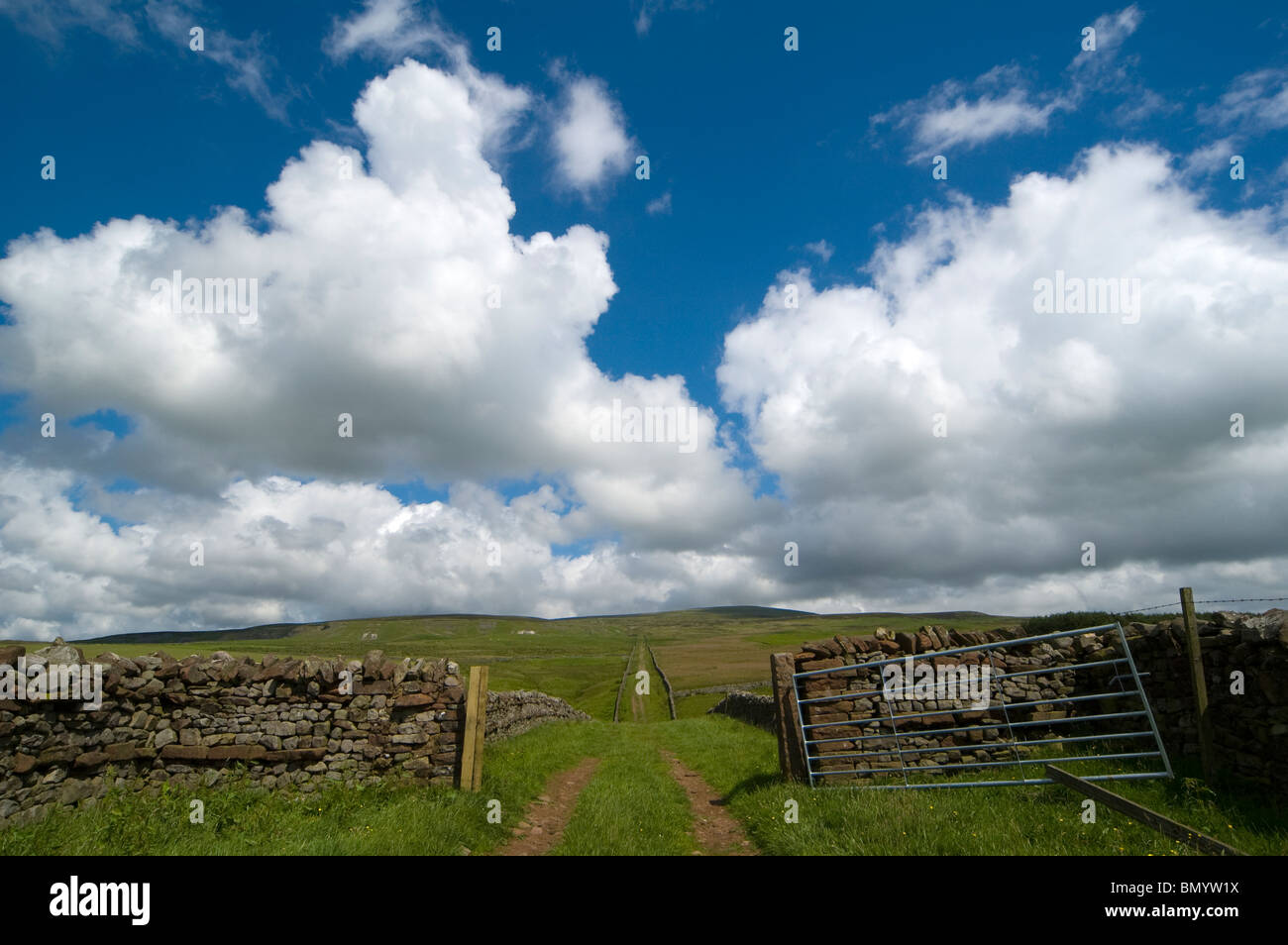 Eine grüne Gasse in das Eden-Tal in der Nähe von Penrith, Cumbria, England, UK Stockfoto