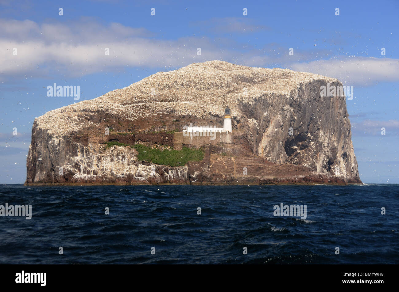 Der Bass Rock, East Lothian, Scotland Stockfoto