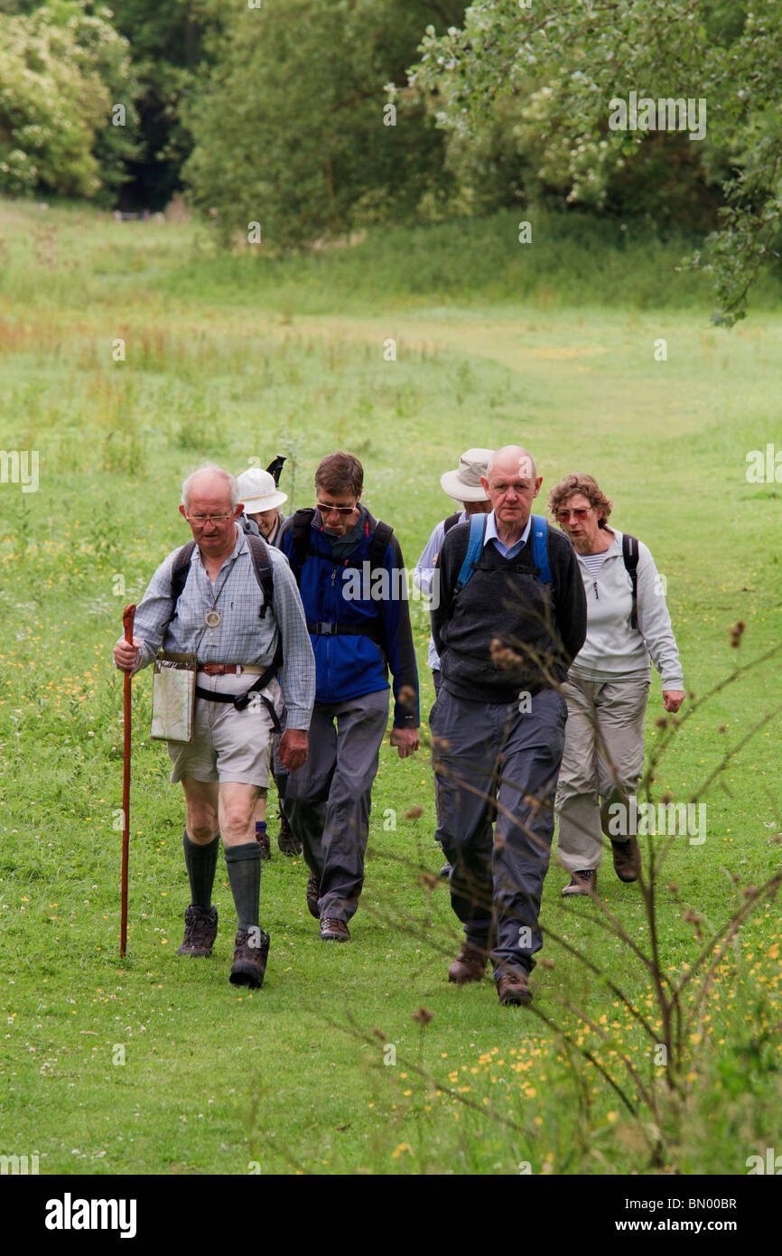 Gruppe von sechs späten Mittleren Alter Wanderer mit Tag Rucksäcken auf Feldweg Stockfoto