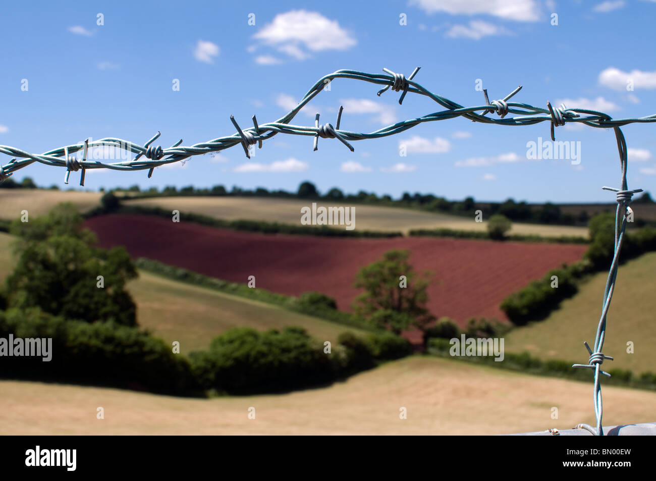 Recht zu durchstreifen Stockfoto