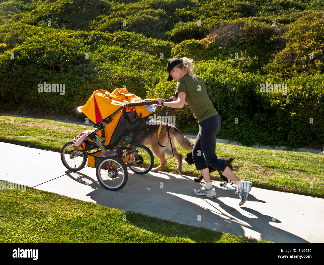 Eine gesunde junge Mutter von Zwillingen läuft auf einem steilen Hügel in  Laguna Niguel, Kalifornien, drücken ihre Kinderwagen und zwei Hunde halten  Stockfotografie - Alamy