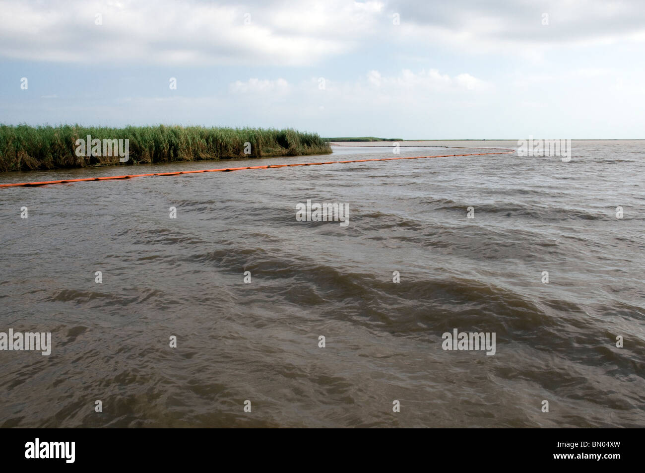 Schützende Boom umgebenden Sümpfe in Barataria Bay, LA, während der BP-Ölpest Stockfoto
