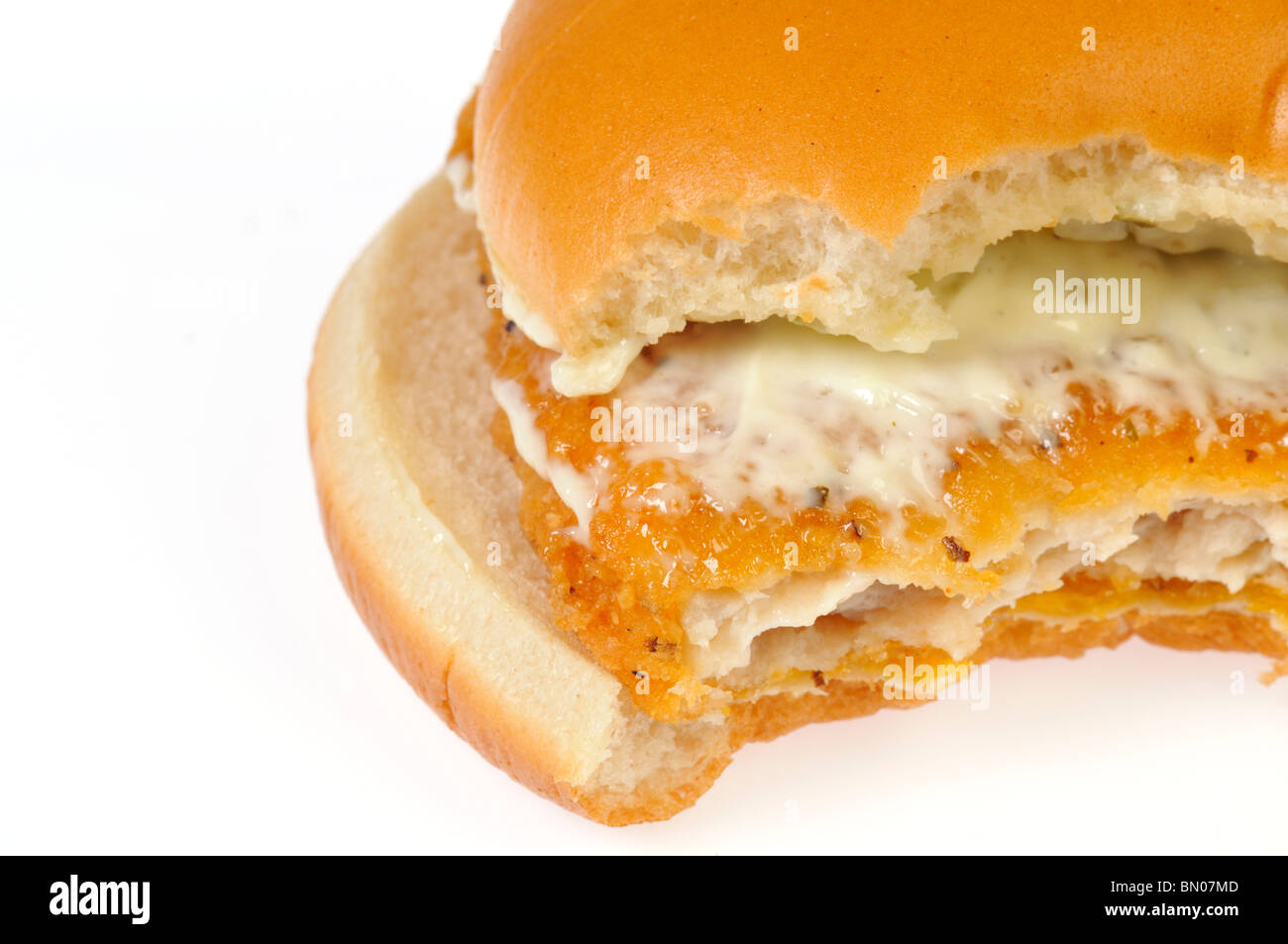 Fischfilet Sandwich mit Käse und Sauce Tartar von Bun mit einem Bissen auf weißem Hintergrund. Stockfoto