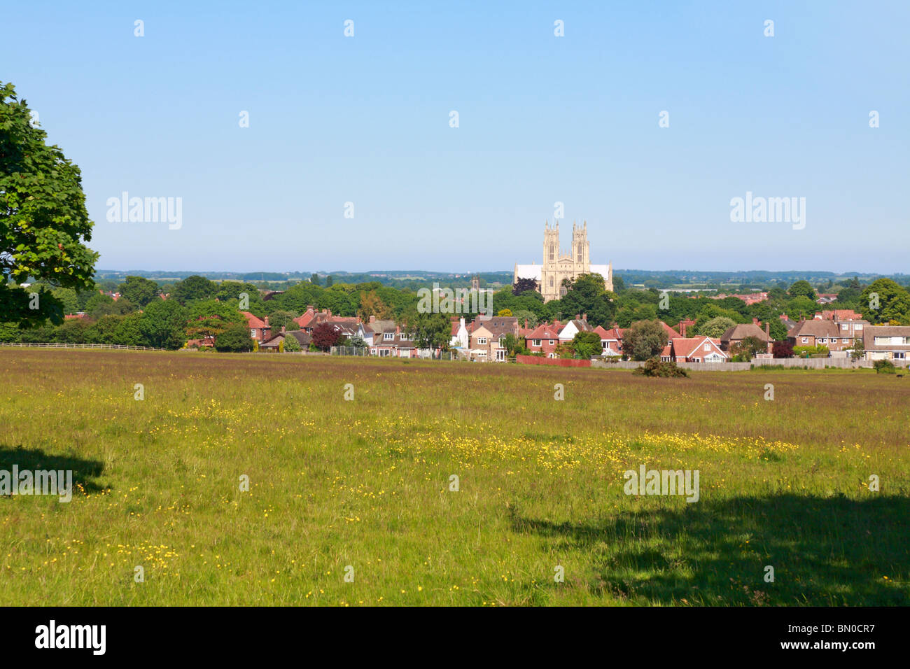 Beverley Minster Form Westwood Weiden Beverley East Riding von Yorkshire England UK Stockfoto