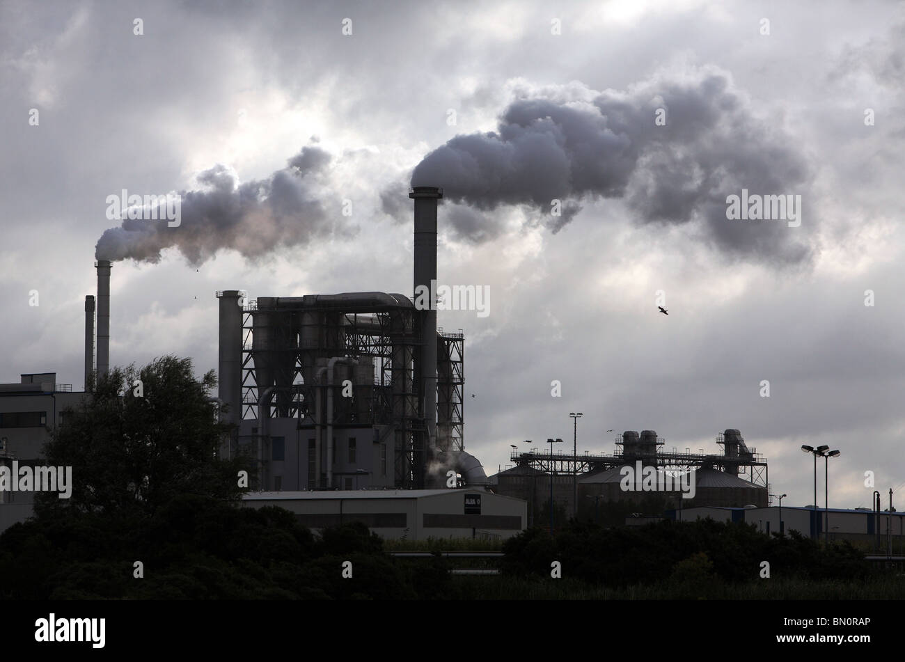 Rauchende Schornsteine auf die Industrieanlagen von Klausner Nordic Timber, Wismar, Deutschland Stockfoto