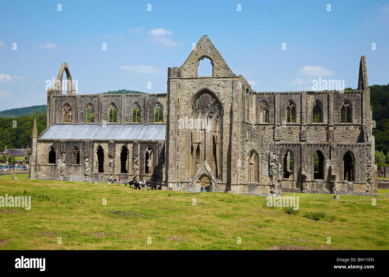 Tintern Abbey, South Wales, UK Stockfoto