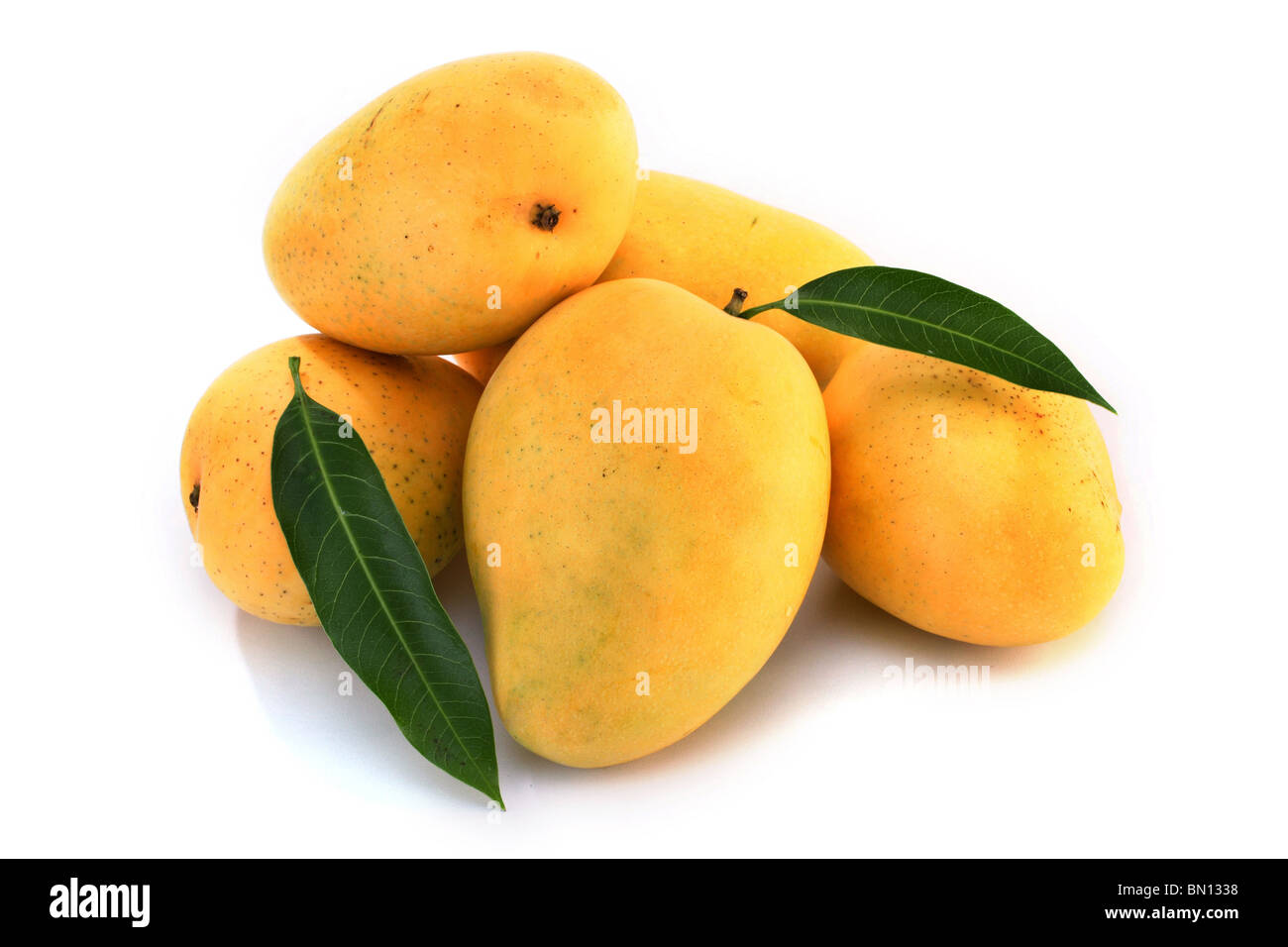 Frische Mango mit weißem Hintergrund Stockfoto