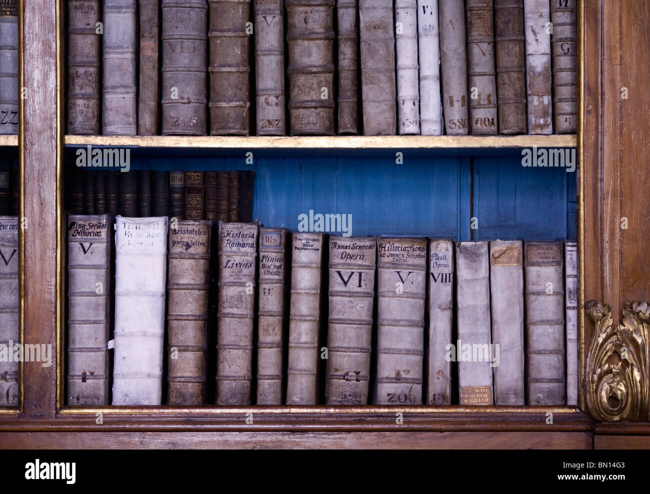 Details einer barocken Bibliothek Stockfoto