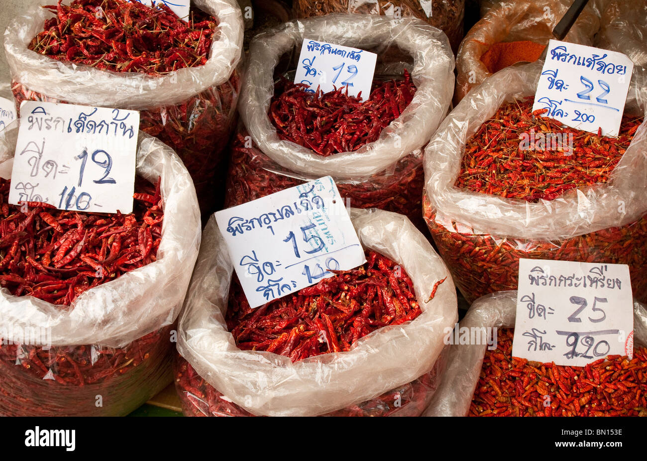 Chilischoten zum Verkauf an Pratu Chiang Mai Markt in Chiang Mai, Thailand. Stockfoto