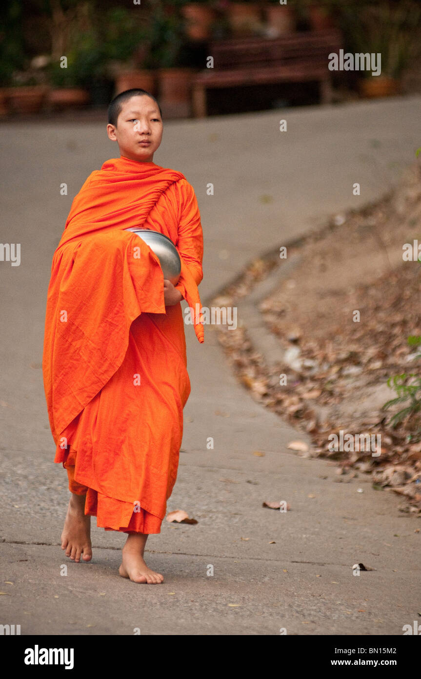 Young-buddhistischer Mönch auf morgen Prozession für Angebote von Lebensmitteln; Huay Kaew Bereich, Chiang Mai, Thailand. Stockfoto