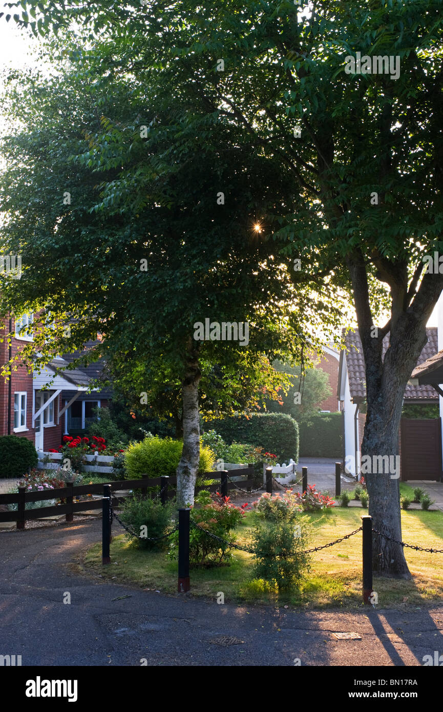 Am frühen Morgen Sommer dawn.a Weg durch Bäume, Häuser und Vorgärten. Stockfoto