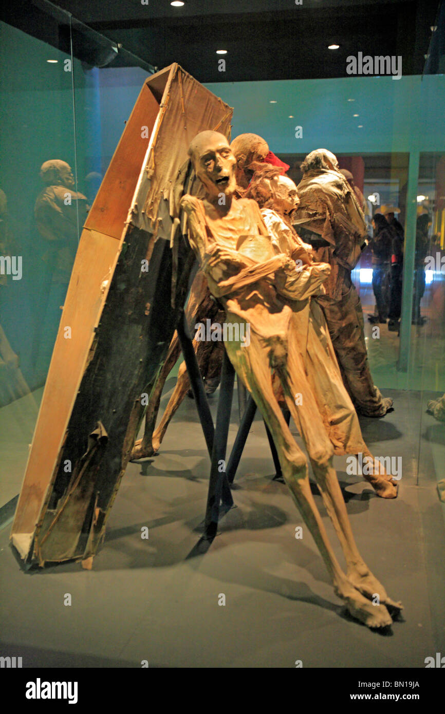Die Mumien Museum, Guanajuato, Bundesstaat Guanajuato, Mexiko Stockfoto