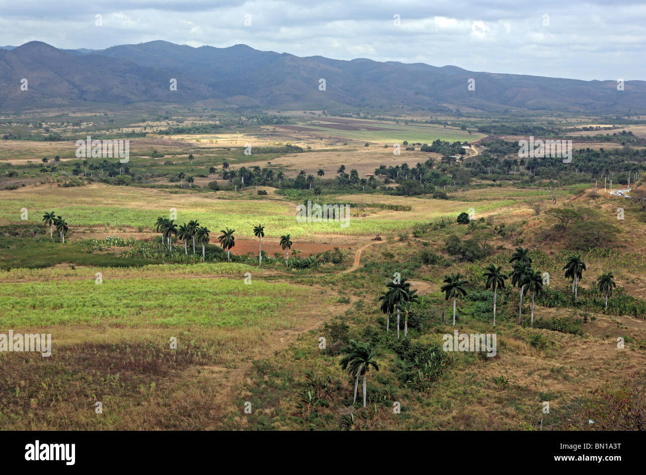 Valle de Los Ingenios (Zuckerfabriken Tal), Kuba Stockfoto