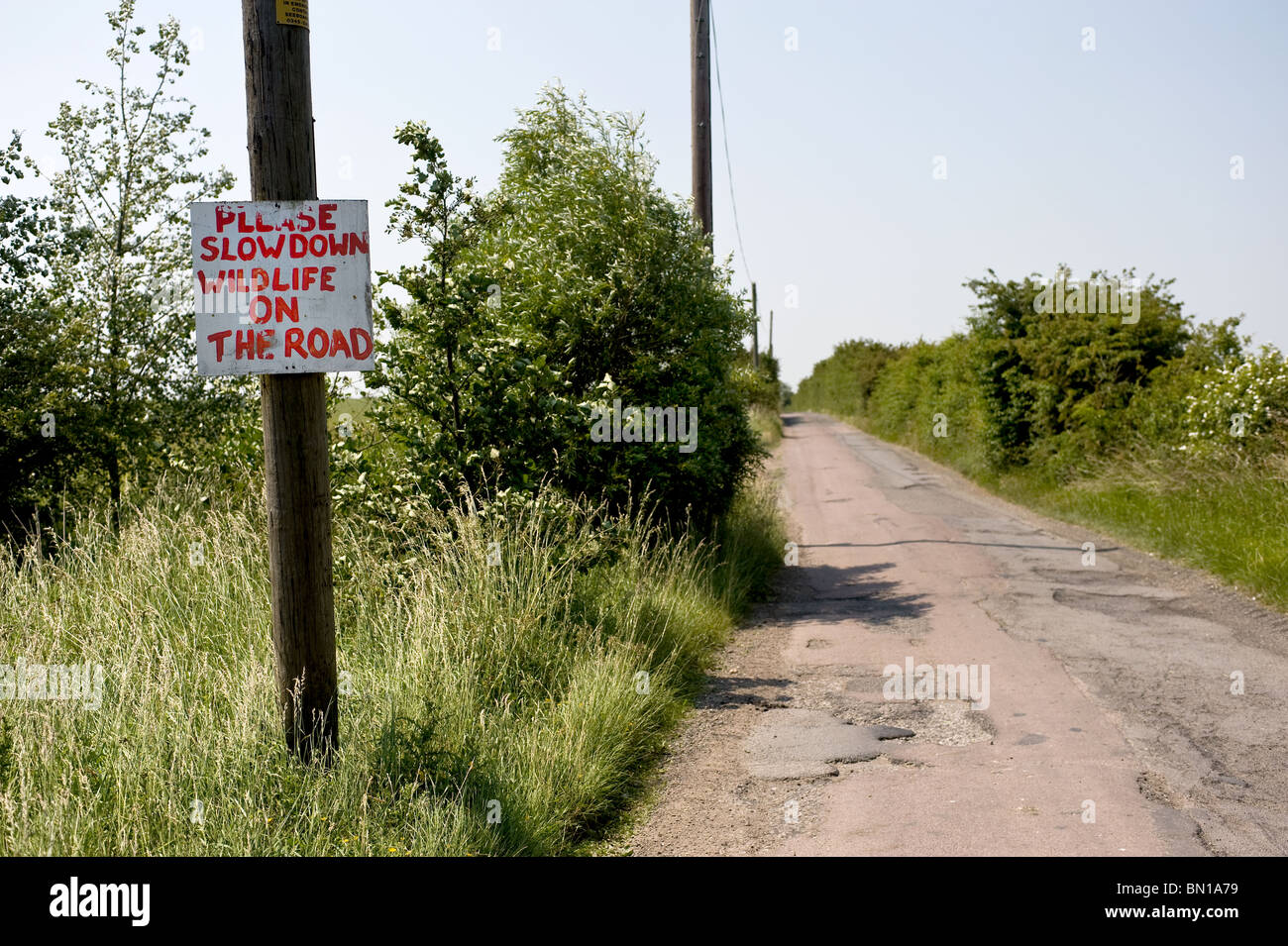 Ein Schild an einem Mast neben einer Straße auf der Isle of Sheppey in Kent.  Foto von Gordon Scammell Stockfoto