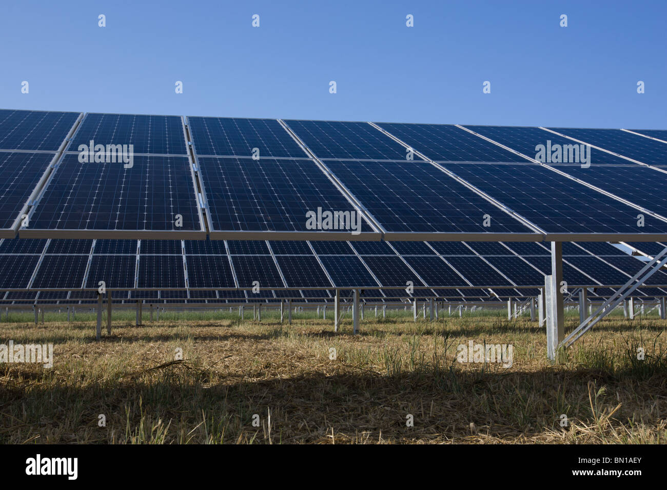 Reihen von Photovoltaik-Modulen von einem niedrigen Standpunkt in Niedersachsen, Deutschland Stockfoto